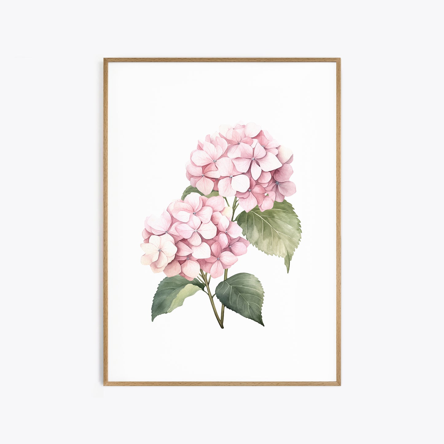 Pink Hydrangeas Botanical Prints - Set of 3 Wall Decor