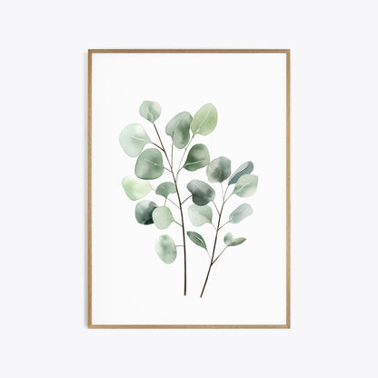 Eucalyptus & Sage Botanical Prints - Set of 3 Wall Decor