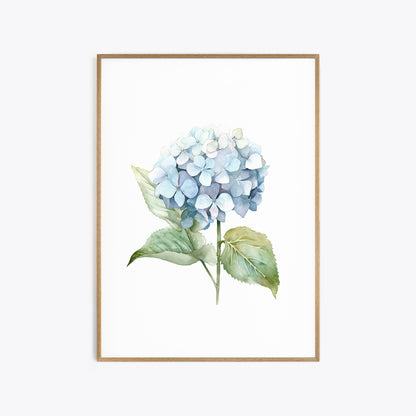 Blue Hydrangeas Botanical Prints - Set of 3 Wall Decor