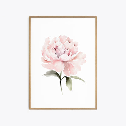 Pastel Pink Peonies Botanical Prints - Set of 3 Wall Decor