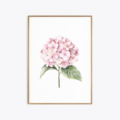 Pink Hydrangeas Botanical Prints - Set of 3 Wall Decor