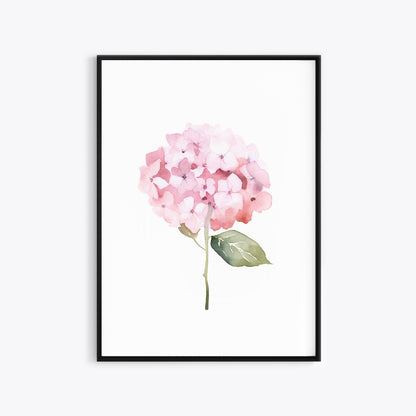 Pink Hydrangeas Botanical Prints - Set of 3 Wall Decor