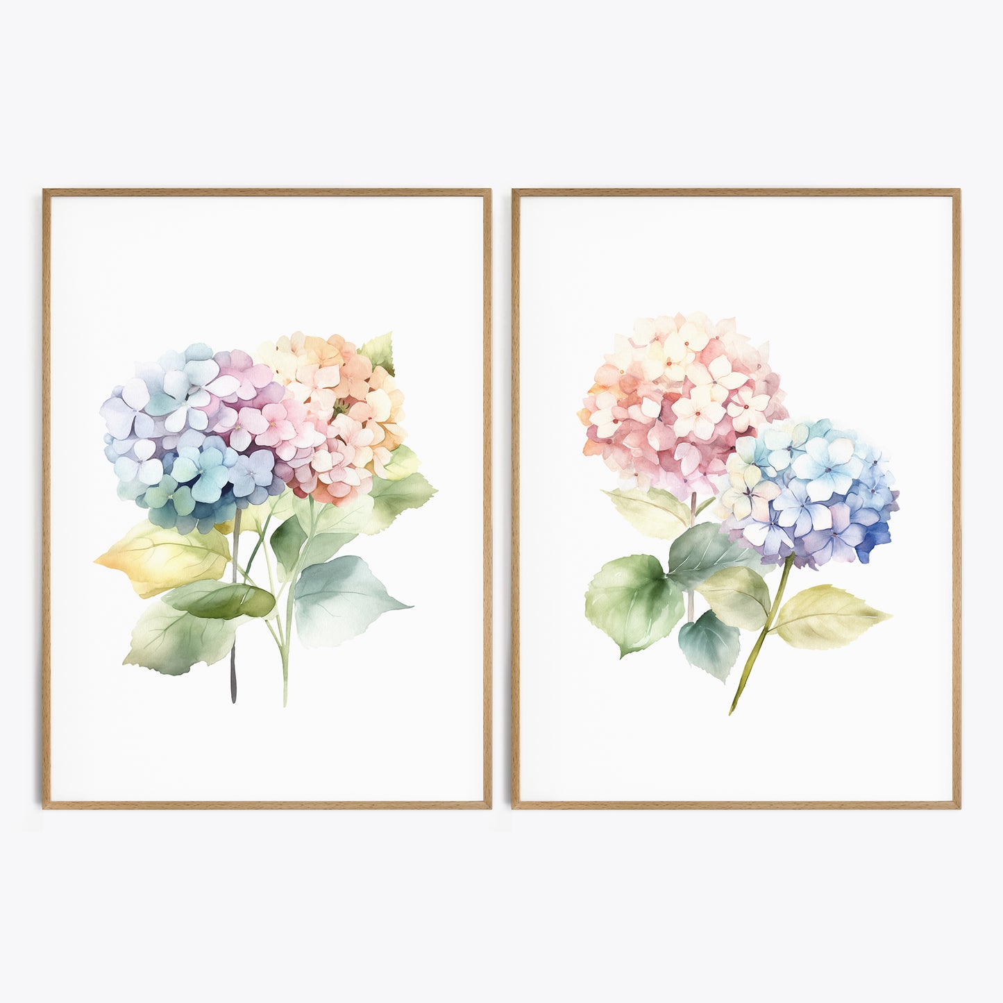 Colorful Pastel Hydrangeas - Set of 2 Prints