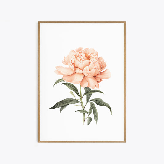 Orange Peony Botanical Print - Vibrant Wall Art