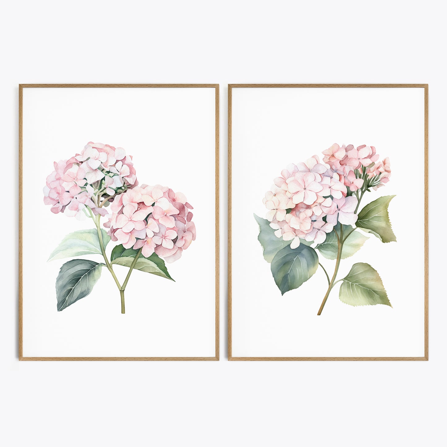 Pink Hydrangeas - Set of 2 Botanical Wall Prints