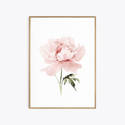 Pastel Pink Peonies Botanical Prints - Set of 3 Wall Decor