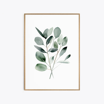 Eucalyptus Branches Botanical Prints - Set of 3 Prints