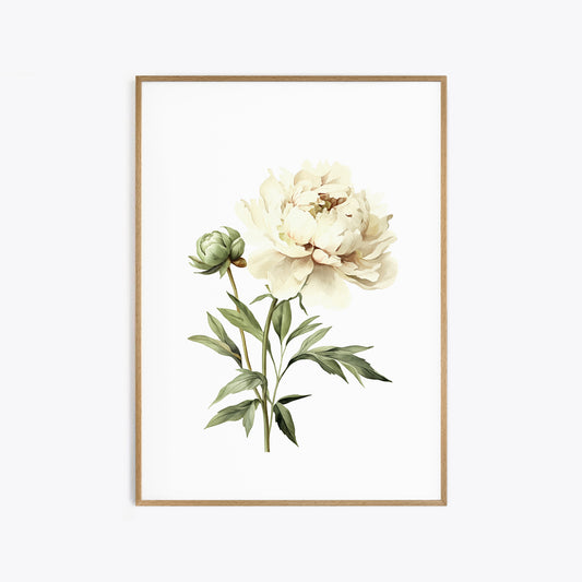 Beige Peony Botanical Print - Elegant Wall Decor