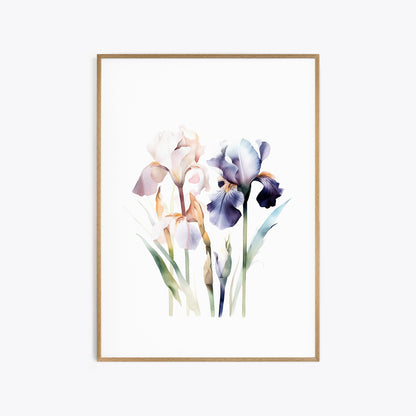 Colorful Irises Botanical Print - Vibrant Wall Art