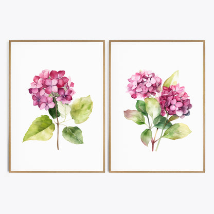 Pink Fuchsia Hydrangeas - Set of 2 Botanical Wall Prints