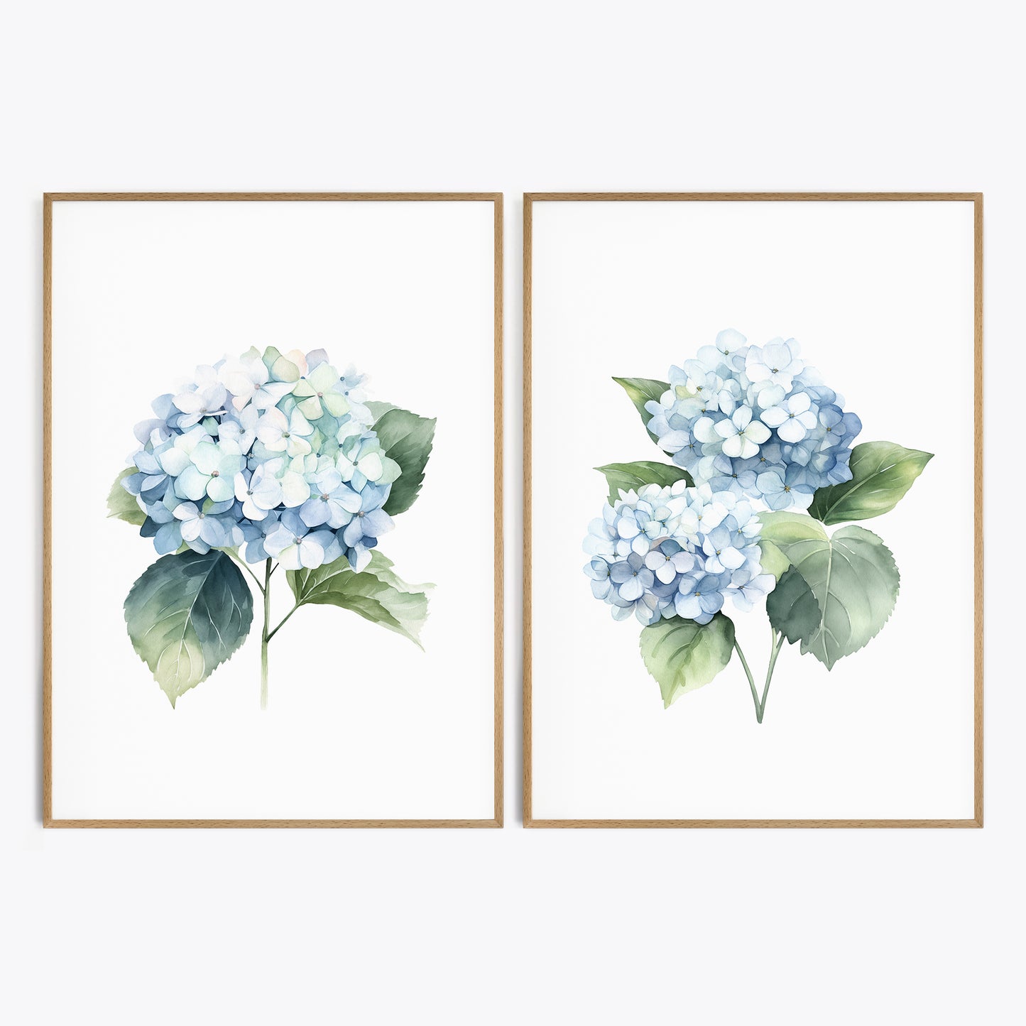 Blue Hydrangeas Wall Art - Set of 2 Botanical Prints