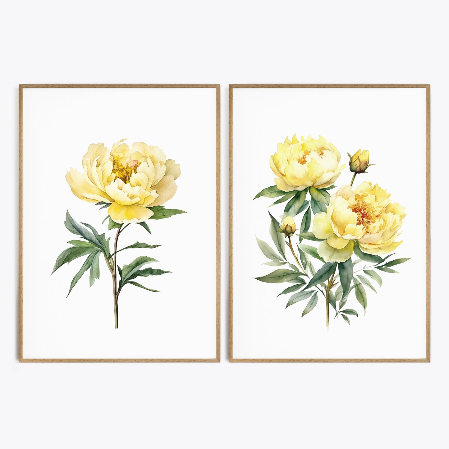 Yellow Peonies Wall Art - Set of 2 Botanical Prints