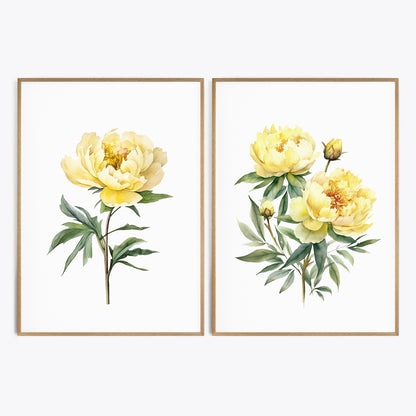 Yellow Peonies Wall Art - Set of 2 Botanical Prints