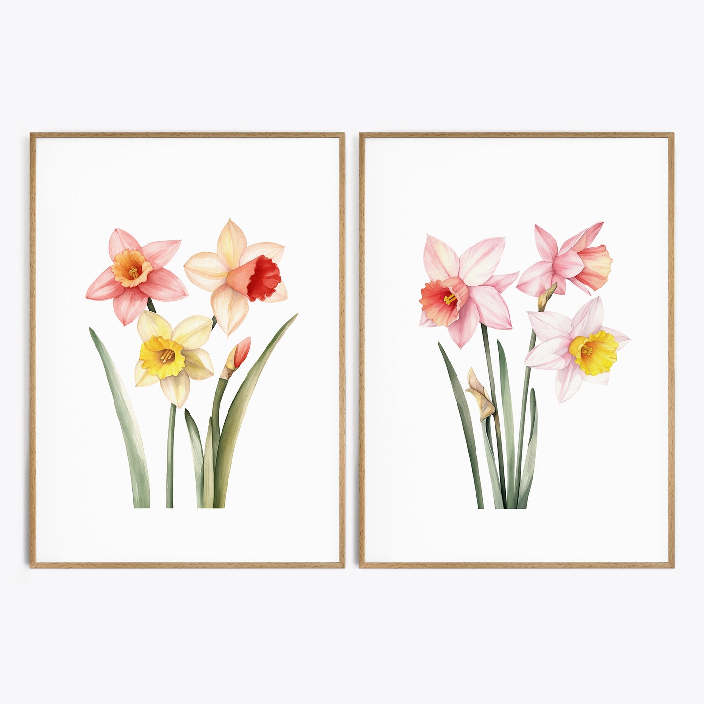 Daffodils Wall Art - Set of 2 Botanical Prints