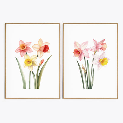 Daffodils Wall Art - Set of 2 Botanical Prints