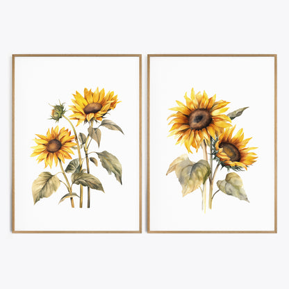 Sunflowers Wall Art - Set of 2 Botanical Prints