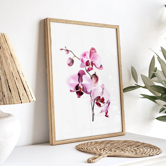 Pink Orchid Botanical Print - Elegant Wall Decor - Bloom Gallery