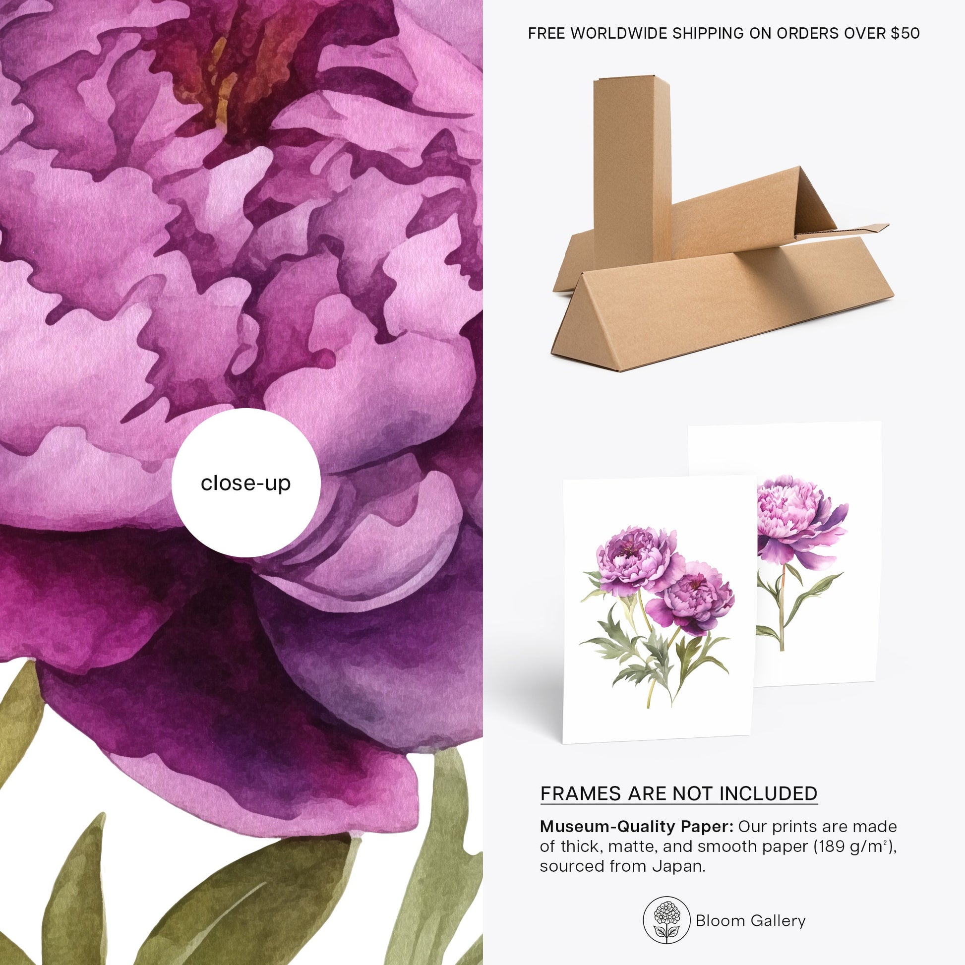 Purple Peonies Wall Art - Set of 2 Botanical Prints - Bloom Gallery