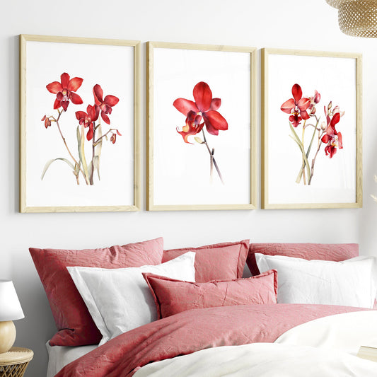 Red Orchids Botanical Prints - Set of 3 Wall Decor - Bloom Gallery