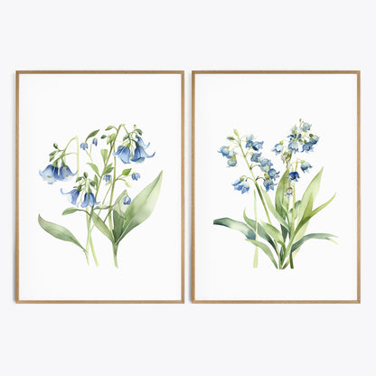 Virginia Bluebells Wall Art - Set of 2 Botanical Prints - Bloom Gallery