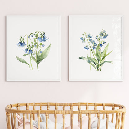 Virginia Bluebells Wall Art - Set of 2 Botanical Prints - Bloom Gallery