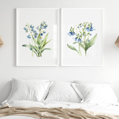 Virginia Bluebells Wall Art - Set of 2 Botanical Prints - Bloom Gallery