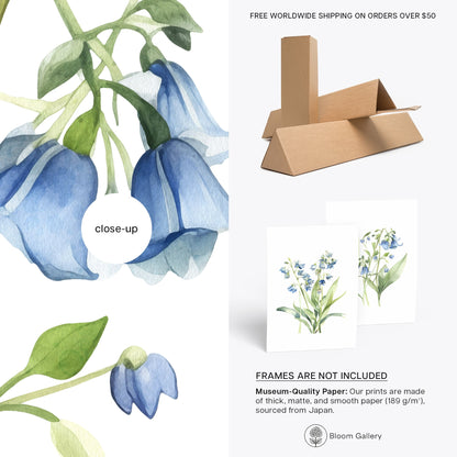 Virginia Bluebells Wall Art - Set of 2 Botanical Prints - Bloom Gallery